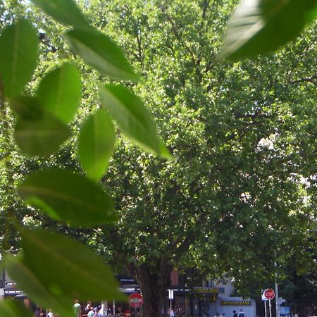 Apartment Angie Belgrad Dış mekan fotoğraf