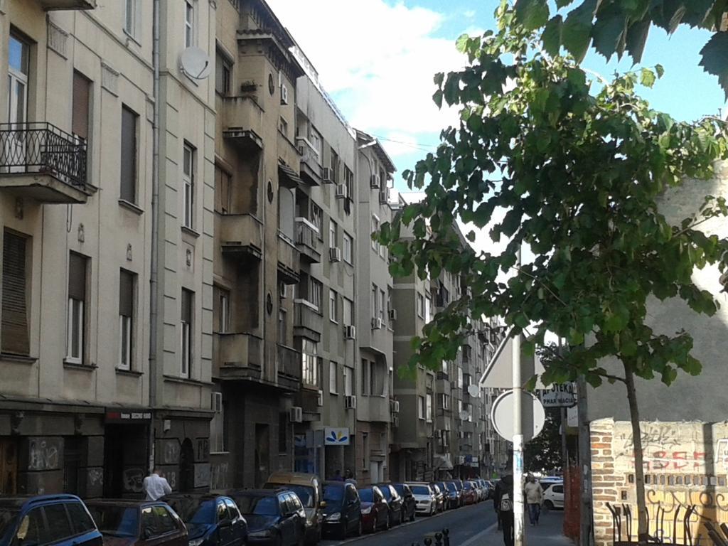 Apartment Angie Belgrad Oda fotoğraf